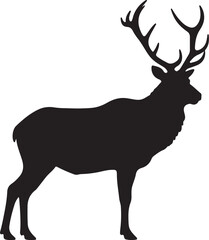 Altai Wapiti vector silhouette on white background