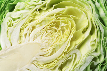 Half of fresh cabbage as background, closeup