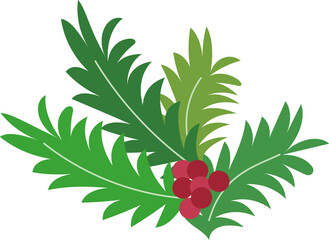 식물,나무,꽃,성탄절,성탄,트리,나뭇잎,나뭇가지,잎,베리,