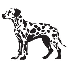 Dalmatian Dog silhouette Vector illustration. dalmatian line art silhouette vector