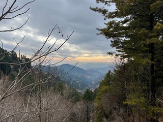 Naklejka premium Trees with cloud showing beautiful weather in hilly area