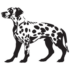 Dalmatian Dog silhouette Vector illustration. dalmatian line art silhouette vector