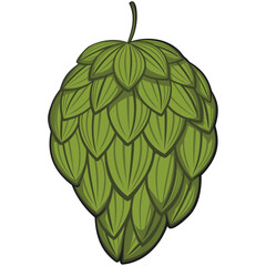 vintage hops vektor illustration, work of hand drawn