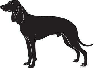 Ariégeois vector silhouette on white background