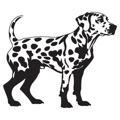 Dalmatian Dog silhouette Vector illustration. dalmatian line art silhouette vector