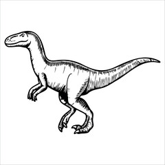 A detailed illustration of a velociraptor dinosaur. The creature stands upright with a long tail