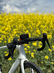 Cycling Adventure in the Countryside with a Road Bike