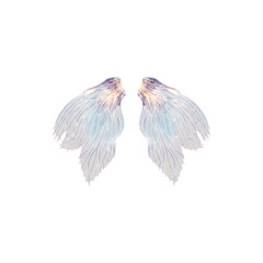Obraz premium Pair of colorful angel wings in soft pastel shades.