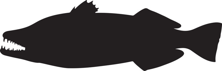 Atlantic Wolffish vector silhouette on white background © Qasim Farooq