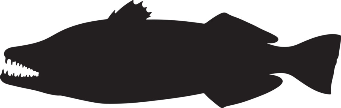 Atlantic Wolffish vector silhouette on white background