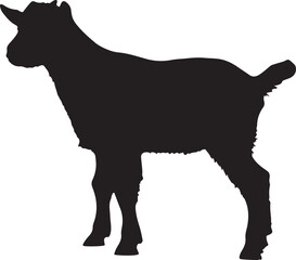 Barbari Goat baby vector silhouette on white background