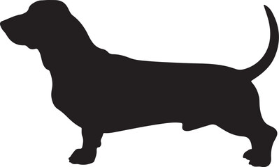 Basset Artésien Normand vector silhouette on white background