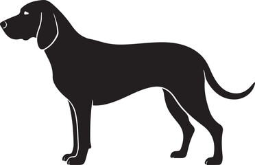 Bavarian Mountain Hound