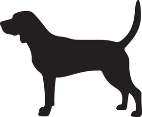 Beagle-Harrier vector silhouette on white background