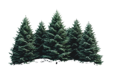 Photorealistic, pixelated pine forest on a white background, with a transparent PNG format and the trees cut out.