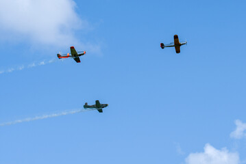 Light single-engine aircraft fly together in the sky