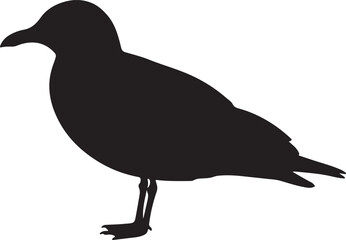 Black-headed Gull vector silhouette on white background