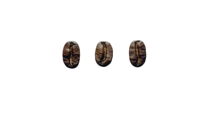 Three Roasted Coffee Beans on Transparent Background - Close Up