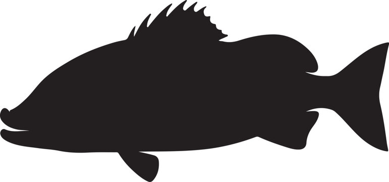 Boarfish vector silhouette on white background