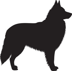Bohemian Shepherd vector silhouette on white background