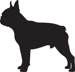 Boston Terrier dog vector silhouette on white background