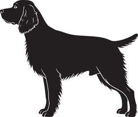 Boykin Spaniel dog vector silhouette on white background