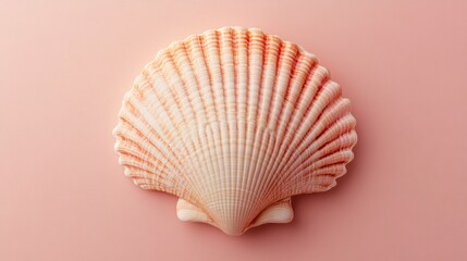 Cartoon scallop shell in minimal design, pastel peach backdrop