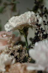 White carnation with black berries and soft pastel flowers. Elegant floral bouquet in natural light, perfect for background or design.