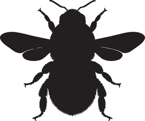 Bumblebee species top view vector silhouette on white background
