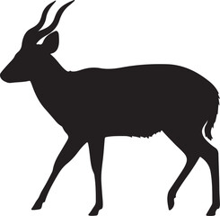 Bushbuck side view vector silhouette on white background