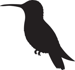 Calliope Hummingbird side view vector silhouette on white background