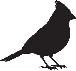 Cardinal side view vector silhouette on white background