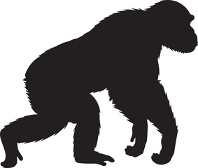 Chimpanzee side view vector silhouette on white background