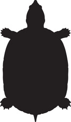 Chinese Softshell Turtle top view vector silhouette on white background