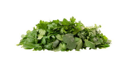 Obraz premium Fresh Organic Herb and Spinach Mix - Healthy Green Vegetables
