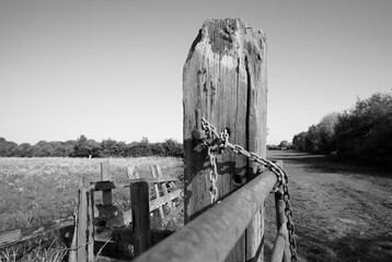 Old battered wooden gate post