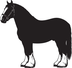 Clydesdale