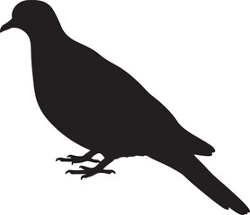 Collared Dove Solid Vector Silhouette