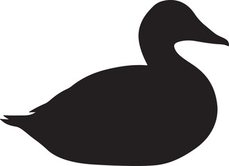 Common Eider Duck Solid Vector Silhouette