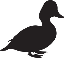 Common Goldeneye Duck Solid Vector Silhouette