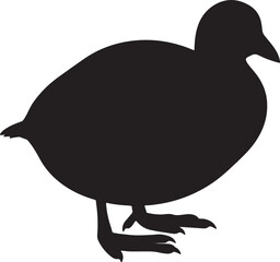 Coot Solid Vector Silhouette