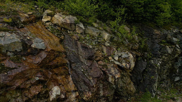 Wet Rock Face with Natural Mineral Streaks and Moss in Forested Terrain