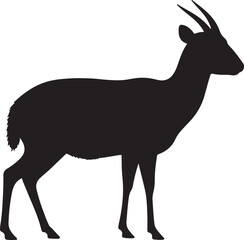 Duiker Antelope side view vector silhouette on white background