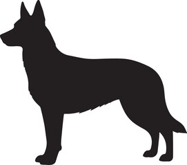 Dutch Shepherd Dog vector silhouette on white background