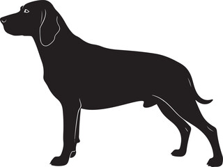 English Foxhound dog vector silhouette on white background