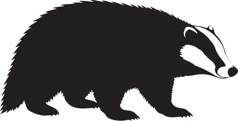 European Badger side view vector silhouette on white background © Qasim Farooq