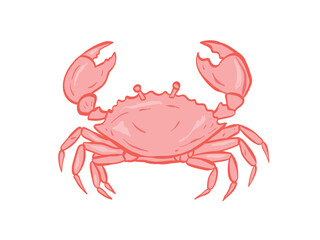 Stylized red crab illustration for seafood or marine life themes isolated on white background vector illustration