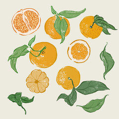 Vector fruit doodle illustration of juicy orange and green leaves. Hand-drawn garden harvest sketch. Organic farm graphics. Tasty food for design, veggie market drawing print, fabric or background.