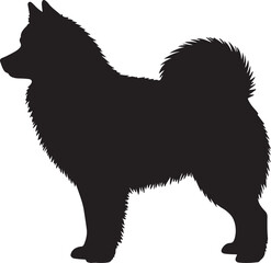 Finnish Lapphund dog vector silhouette on white background