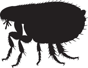 Flea side view vector silhouette on white background